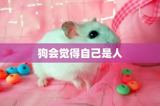 狗會覺得自己是人