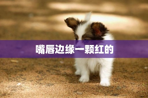 嘴唇邊緣一顆紅的