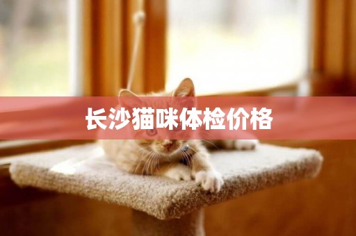 長沙貓咪體檢價格
