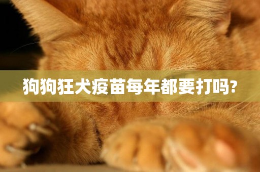 狗狗狂犬疫苗每年都要打嗎?