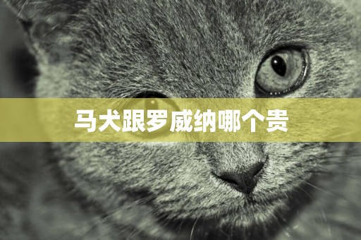 馬犬跟羅威納哪個貴