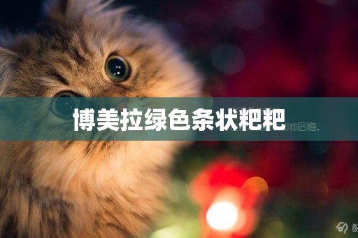 博美拉綠色條狀粑粑