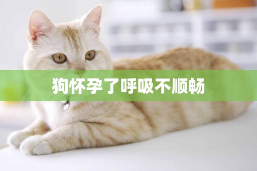 狗懷孕了呼吸不順暢