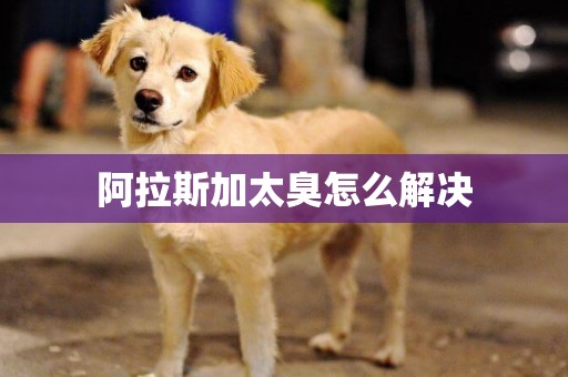 阿拉斯加太臭怎么解決
