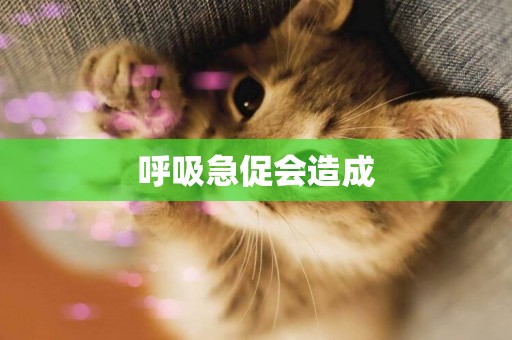呼吸急促會造成