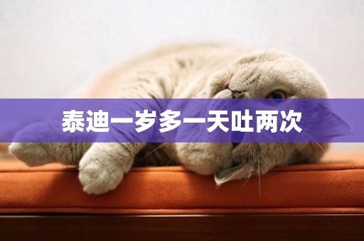 泰迪一歲多一天吐兩次