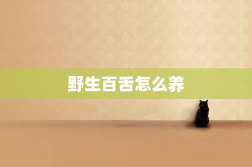 野生百舌怎么養