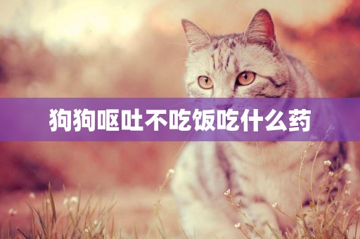 狗狗嘔吐不吃飯吃什么藥