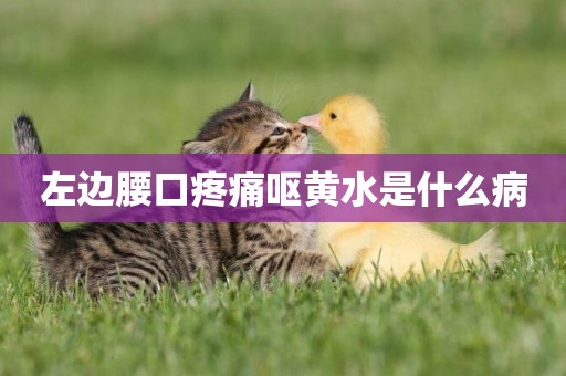 左邊腰口疼痛嘔黃水是什么病