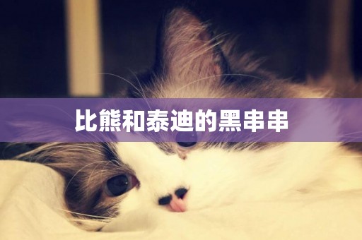 比熊和泰迪的黑串串
