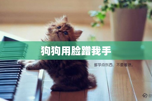 狗狗用臉蹭我手