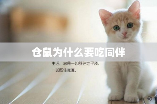 倉鼠為什么要吃同伴