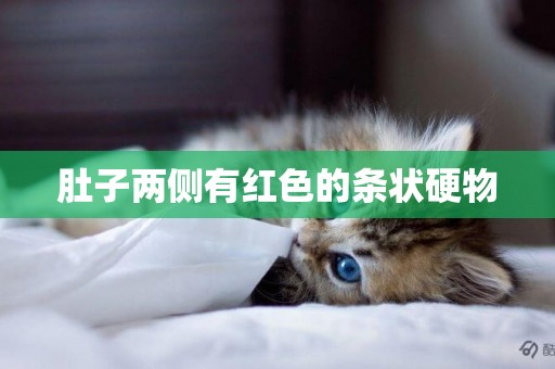 肚子兩側有紅色的條狀硬物