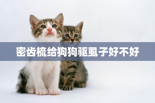 密齒梳給狗狗驅虱子好不好