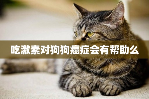 吃激素對狗狗癌癥會有幫助么