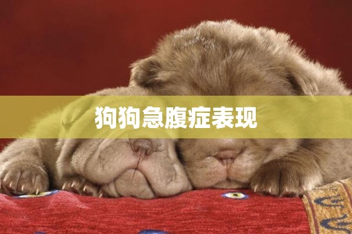 狗狗急腹癥表現