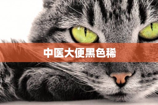 中醫大便黑色稀