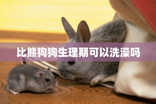 比熊狗狗生理期可以洗澡嗎