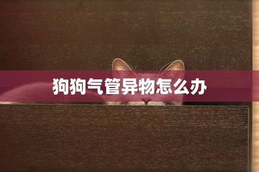 狗狗氣管異物怎么辦