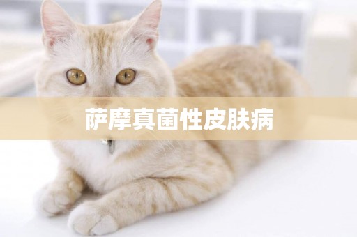 薩摩真菌性皮膚病