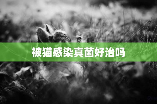 被貓感染真菌好治嗎