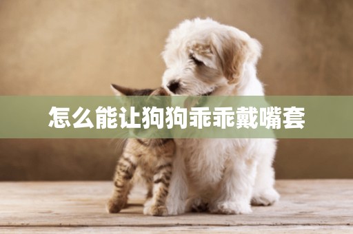 怎么能讓狗狗乖乖戴嘴套