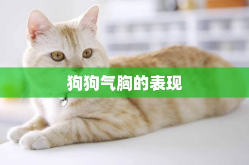 狗狗氣胸的表現