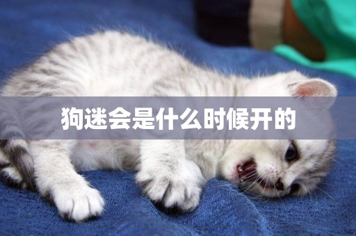 狗迷會是什么時候開的