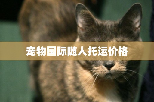 寵物國際隨人托運價格