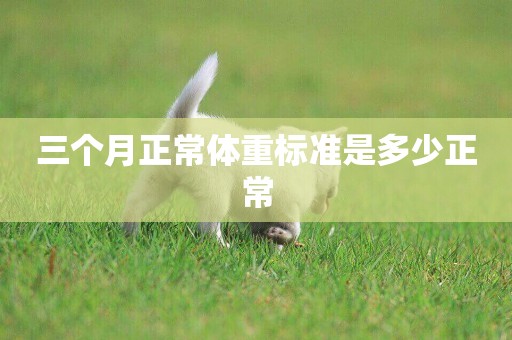 三個月正常體重標準是多少正常