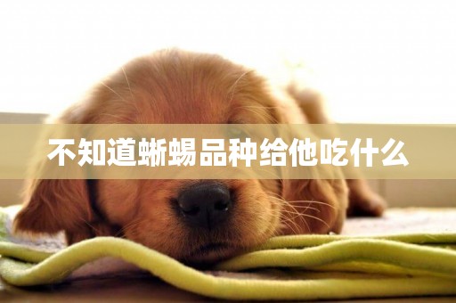 不知道蜥蜴品種給他吃什么
