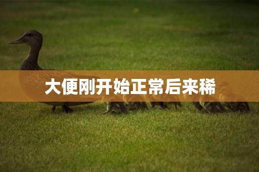 大便剛開始正常后來稀