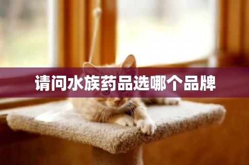 請問水族藥品選哪個品牌