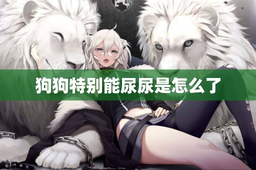 狗狗特別能尿尿是怎么了