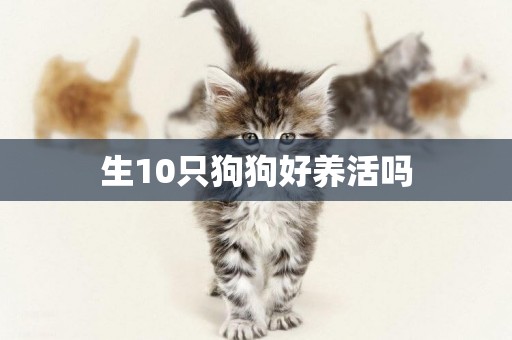 生10只狗狗好養活嗎