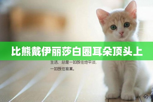 比熊戴伊麗莎白圈耳朵頂頭上