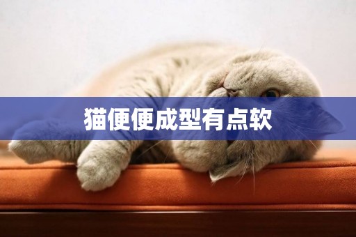 貓便便成型有點軟