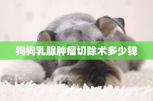 狗狗乳腺腫瘤切除術多少錢