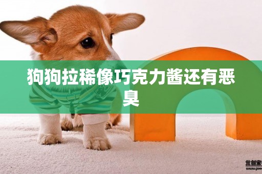 狗狗拉稀像巧克力醬還有惡臭