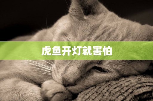 虎魚開燈就害怕