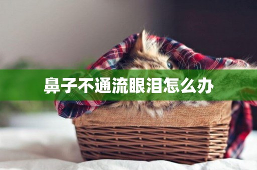鼻子不通流眼淚怎么辦