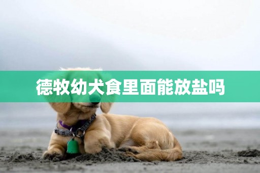 德牧幼犬食里面能放鹽嗎