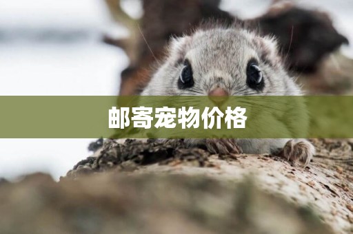 郵寄寵物價格