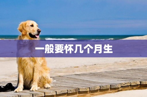 一般要懷幾個月生