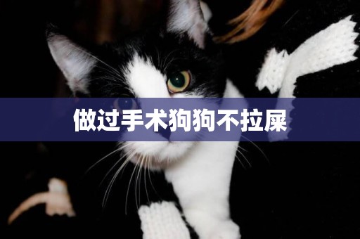 做過手術狗狗不拉屎
