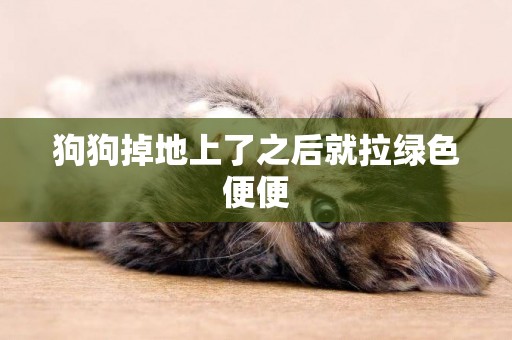 狗狗掉地上了之后就拉綠色便便