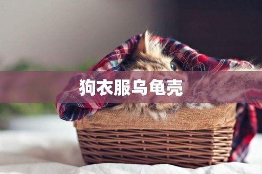 狗衣服烏龜殼