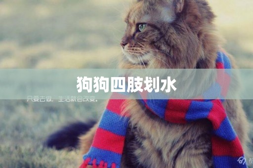 狗狗四肢劃水