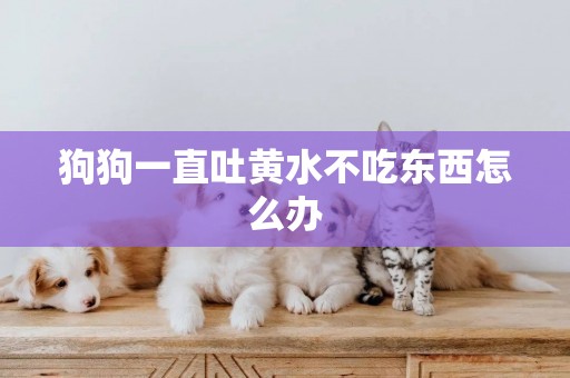 狗狗一直吐黃水不吃東西怎么辦