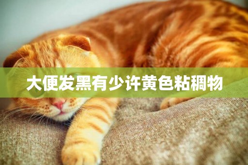 大便發黑有少許黃色粘稠物
